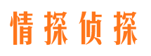 大安市婚外情调查